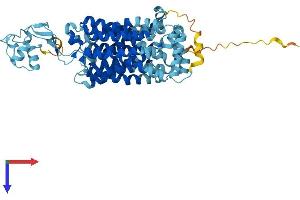 AlphaFold protein structure predicition of Human Recombinant SLC22A1 Protein, UniprotID O15245