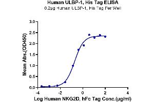 Immobilized Human ULBP-1, His Tag at 2 μg/mL (100 μL/well) on the plate.