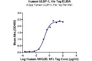 Immobilized Human ULBP-1, His Tag at 2 μg/mL (100 μL/well) on the plate. (ULBP1 Protein (His-Avi Tag))