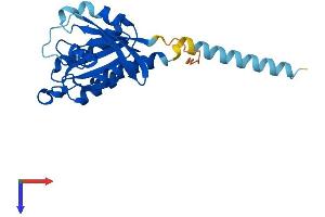 AlphaFold protein structure predicition of Human Recombinant RIT2 Protein, UniprotID Q99578