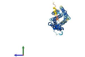 AlphaFold protein structure predicition of Human Recombinant MAS1 Protein, UniprotID P04201