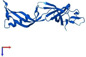 AlphaFold protein structure predicition of Mouse Recombinant Polr2g Protein, UniprotID P62488
