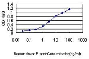 Detection limit for recombinant GST tagged NUCB1 is approximately 0.