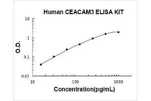 Typical Standard Curve