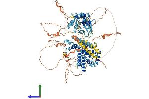 AlphaFold protein structure predicition of Mouse Recombinant Rin2 Protein, UniprotID Q9D684