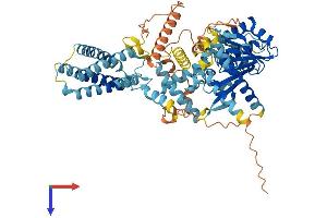 AlphaFold protein structure predicition of Human Recombinant DAGLB Protein, UniprotID Q8NCG7