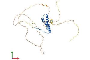 AlphaFold protein structure predicition of Human Recombinant SOX2 Protein, UniprotID P48431