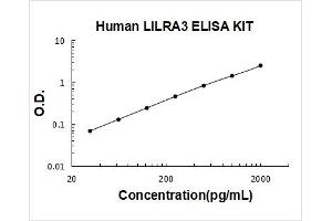 Typical Standard Curve