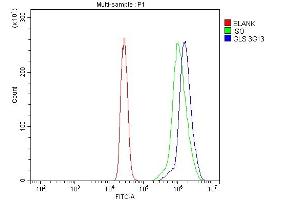 Flow Cytometry analysis of U937 cells using anti-Glutaminase/GLS antibody (ABIN7601601). (Glutaminase anticorps  (AA 396-654))