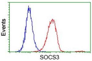 Flow cytometric Analysis of Hela cells, using anti-SOCS3 antibody (ABIN2454685), (Red), compared to a nonspecific negative control antibody, (Blue). (SOCS3 anticorps)