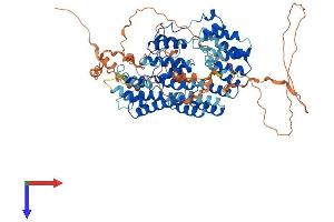 AlphaFold protein structure predicition of Human Recombinant TRAPPC12 Protein, UniprotID Q8WVT3