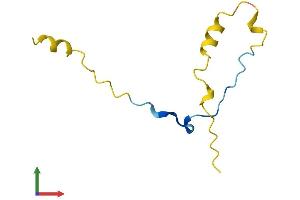 AlphaFold protein structure predicition of Mouse Recombinant Cdc42se1 Protein, UniprotID Q8BHL7