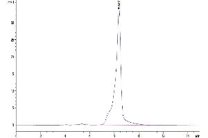 The purity of Mouse GITR Ligand is greater than 95 % as determined by SEC-HPLC.