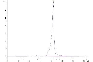 The purity of Mouse GITR Ligand is greater than 95 % as determined by SEC-HPLC. (TNFSF18 Protein (AA 47-173) (Fc Tag))
