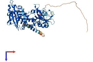 AlphaFold protein structure predicition of Mouse Recombinant Ptpn6 Protein, UniprotID P29351