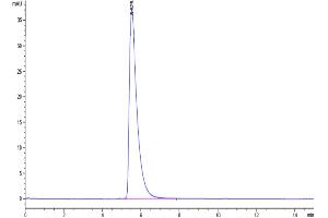 The purity of Biotinlylated human ACE2 is greater than 95 % as determined by SEC-HPLC.