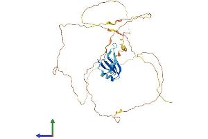 AlphaFold protein structure predicition of Human Recombinant RBMXL1 Protein, UniprotID Q96E39