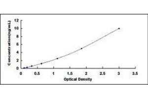 Cyclin-Dependent Kinase 1 (CDK1) ELISA Kit