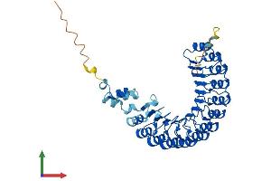 AlphaFold protein structure predicition of Mouse Recombinant Fbxl20 Protein, UniprotID Q9CZV8