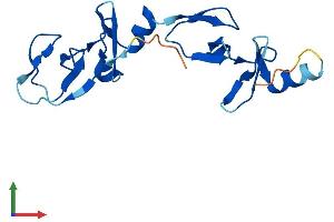 AlphaFold protein structure predicition of Mouse Recombinant Lmo1 Protein, UniprotID Q924W9