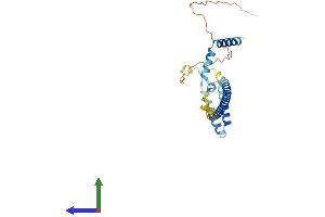 AlphaFold protein structure predicition of Human Recombinant CENPQ Protein, UniprotID Q7L2Z9