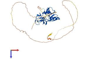AlphaFold protein structure predicition of Human Recombinant RNF146 Protein, UniprotID Q9NTX7