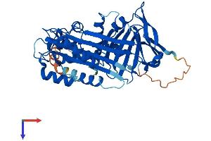 AlphaFold protein structure predicition of Human Recombinant SERPINB10 Protein, UniprotID P48595