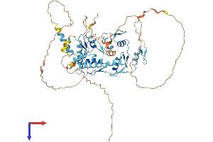 AlphaFold protein structure predicition of Human Recombinant ZSCAN25 Protein, UniprotID Q6NSZ9