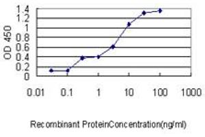 Detection limit for recombinant GST tagged MRPL12 is approximately 0.