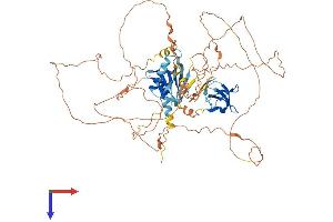 AlphaFold protein structure predicition of Human Recombinant MAPK8IP1 Protein, UniprotID Q9UQF2