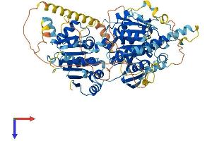 AlphaFold protein structure predicition of Mouse Recombinant Utp25 Protein, UniprotID Q8BTT6