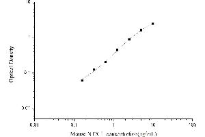 Cross Linked N-Telopeptide of Type I Collagen (NTX-I) ELISA Kit