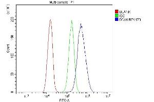 Flow Cytometry analysis of SiHa cells using anti-DDX4 antibody (ABIN7601203). (DDX4 anticorps  (AA 3-666))