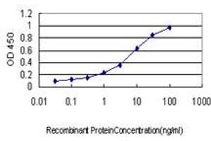 Detection limit for recombinant GST tagged GUCY2D is approximately 0. (GUCY2D anticorps  (AA 521-630))