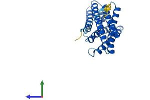 AlphaFold protein structure predicition of Human Recombinant TMEM150B Protein, UniprotID A6NC51