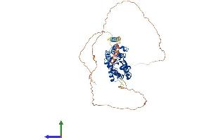 AlphaFold protein structure predicition of Mouse Recombinant Tor1aip2 Protein, UniprotID Q8BYU6