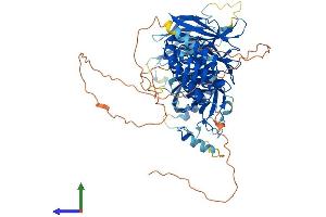 AlphaFold protein structure predicition of Human Recombinant WDPCP Protein, UniprotID O95876