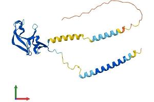 AlphaFold protein structure predicition of Human Recombinant MIS18A Protein, UniprotID Q9NYP9