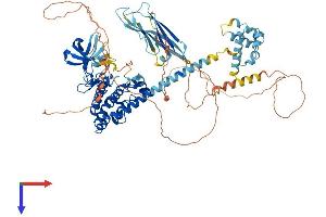 AlphaFold protein structure predicition of Human Recombinant MAP3K20 Protein, UniprotID Q9NYL2