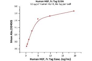Immobilized Human HGF R, His Tag (ABIN2180660,ABIN2180659) at 5 μg/mL (100 μL/well) can bind Human HGF, Fc Tag (ABIN6992334) with a linear range of 1.