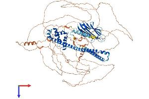 AlphaFold protein structure predicition of Mouse Recombinant Caprin2 Protein, UniprotID Q05A80
