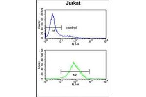 Flow cytometry analysis of Jurkat cells using PPM1H Antibody  (bottom histogram) compared to a negative control cell (top histogram). (PPM1H anticorps  (Middle Region))