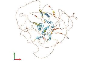 AlphaFold protein structure predicition of Mouse Recombinant Sall4 Protein, UniprotID Q8BX22