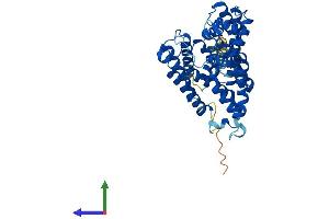 AlphaFold protein structure predicition of Human Recombinant ALG3 Protein, UniprotID Q92685
