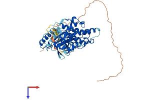AlphaFold protein structure predicition of Human Recombinant MAPK9 Protein, UniprotID P45984