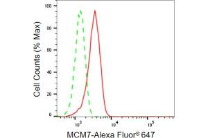 Flow cytometric analysis of MCM7 expression in HepG2 cells using MCM7 antibody (ABIN7799423), 1:2,000).