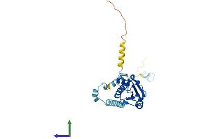 AlphaFold protein structure predicition of Mouse Recombinant Pdcl2 Protein, UniprotID Q78Y63