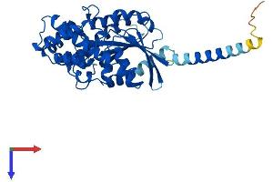 AlphaFold protein structure predicition of Human Recombinant GNAL Protein, UniprotID P38405