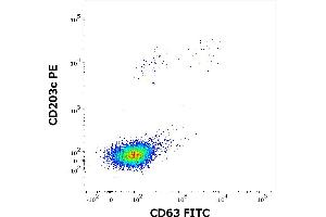 Flow cytometry dot-plot staining pattern of rDau c 1 recombinant allergen stimulated human peripheral whole blood lymphocytes and basophils of a proven allergic donor stained using anti-human CD63 (MEM-259) FITC and anti-human CD203c (NP4D6) PE antibodies .