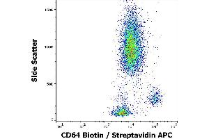 Flow cytometry surface staining pattern of human peripheral whole blood stained using anti-human CD64 (10. (FCGR1A anticorps  (Biotin))